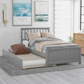 Twin Size Wooden Platform Bed with Trundle